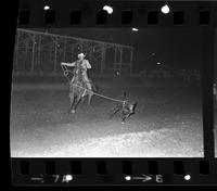 Tony Bulman Calf roping