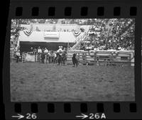 Gary Ledford Calf roping