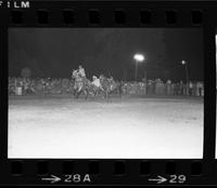 Allen Garner Steer wrestling