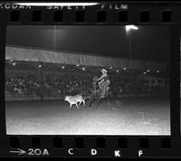 Wayne Wilcox Calf roping