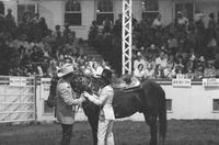 Rodeo Queen contest
