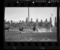 Tony Bulman Calf roping