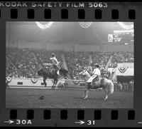 Unidentified Bronc rider on unknown mount