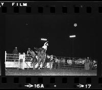 Dave Benbo on Saddle bronc #0