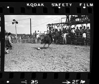 Tommy Crick riding unknown Bull