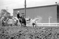 Bob Rochelle Calf roping