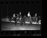 Mikles, Goggins, & others, Ladies Pleasure Horse show