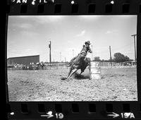 Pam Hartwick Barrel racing