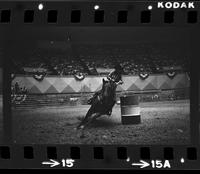 Rogina Clayman Barrel racing