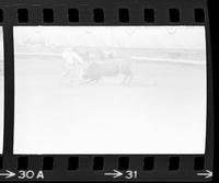 Unknown Rodeo clowns Bull fighting