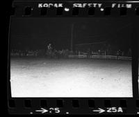 Mike Bellamy Steer wrestling