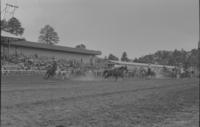 Billy Wilson & Duane Julian Team roping