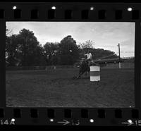 Unidentified Barrel racer