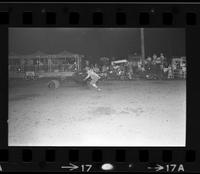 Unidentified Rodeo clown Bull fighting