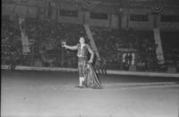 Tommy Lucia, Bull fighter act