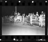 Gary James on Bull #1H