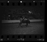 Bob Aldridge Calf roping