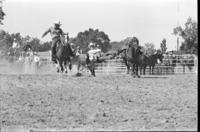 Larry Ferguson Steer wrestling