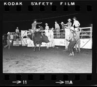 Mike Crane on Bull #5