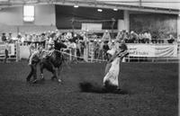 Jimmy Gaylon Calf roping