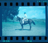 Unidentified Cowgirl on horse