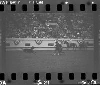 Olin Young Calf roping