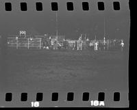 [No log sheet; unknown steer wrestlers and calf ropers]