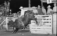 Jerome Robinson on Bull #-11