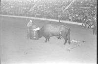 Unknown Rodeo clown fighting Bull