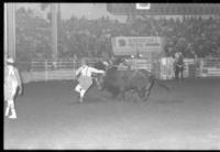 Rodeo clown Mike Moore Bull fighting