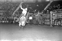 Marvin Gray on Bull #G161