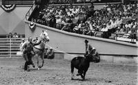 Linus Thornton Calf roping