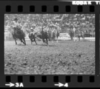 Broadus Gravette Steer wrestling