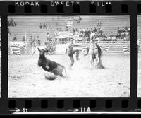 Kenny Thomas Calf roping