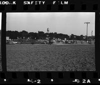 Harold Dowland Calf roping