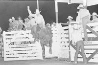 Mike Bandy on Bull #68