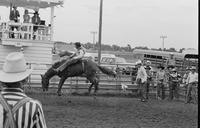 Unidentified Bareback rider on unknown mount