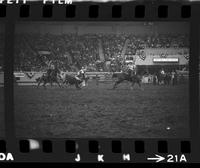 Ken Luman & Jim Rodrigues Jr. Team roping