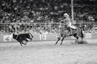 Teasie McCrary Calf roping