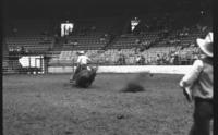 Chip Whataker on Bronc #8