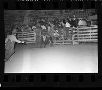 Junior Meeks on Bull #68