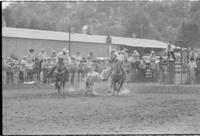 Rex Alquist Steer wrestling