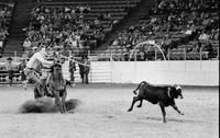 Tom Ferguson Calf roping