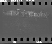 [No log sheet; unknown steer wrestlers and calf ropers]
