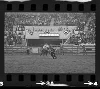 Greg Winham Calf roping