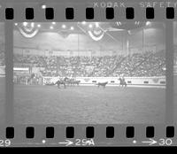 Nick Nichols & Don Nichols Team roping