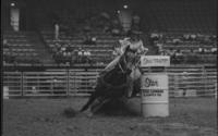 Colette Baier Barrel racing