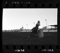 Mildfed Farris Barrel racing