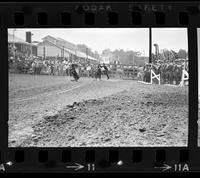 Lee Warden Calf roping