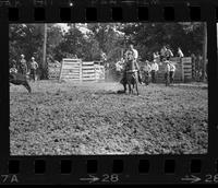 Larry LaMontagne Calf roping